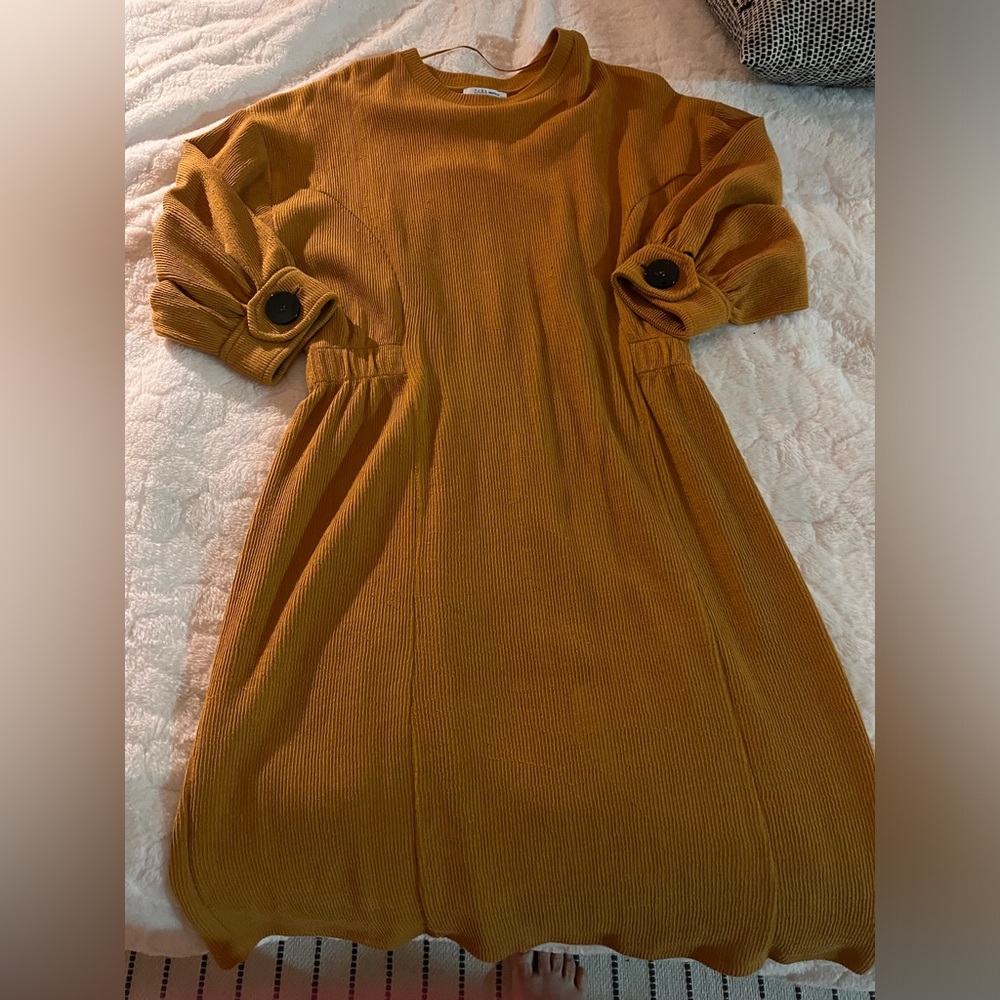 Brand new fall Zara dress size large .